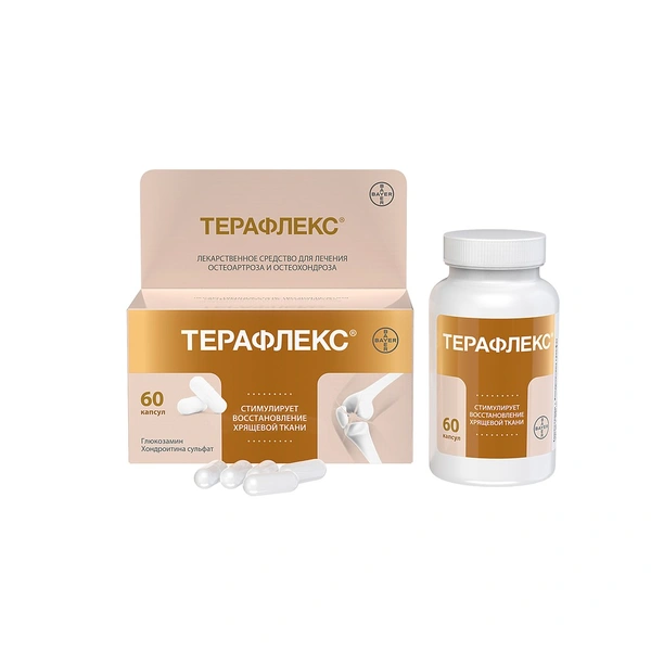 Терафлекс капсулы №60 (Россия)
