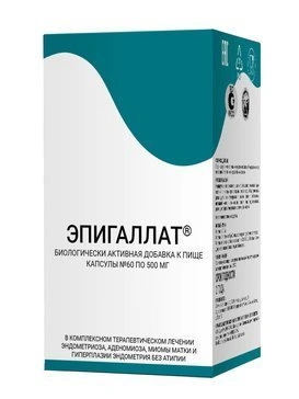 Эпигаллат капсулы 500 мг №60 (Россия)