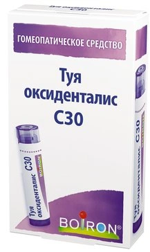 Туя оксиденталис С30 гранулы гомеопатические 4 г (Франция)