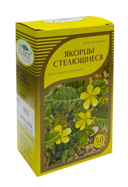 Трава якорцы. Якорцы стелющиеся препараты. Якорцев стелющихся травы. Якорцев стелющихся травы. Хорст якорцы стелющиеся 50гр.